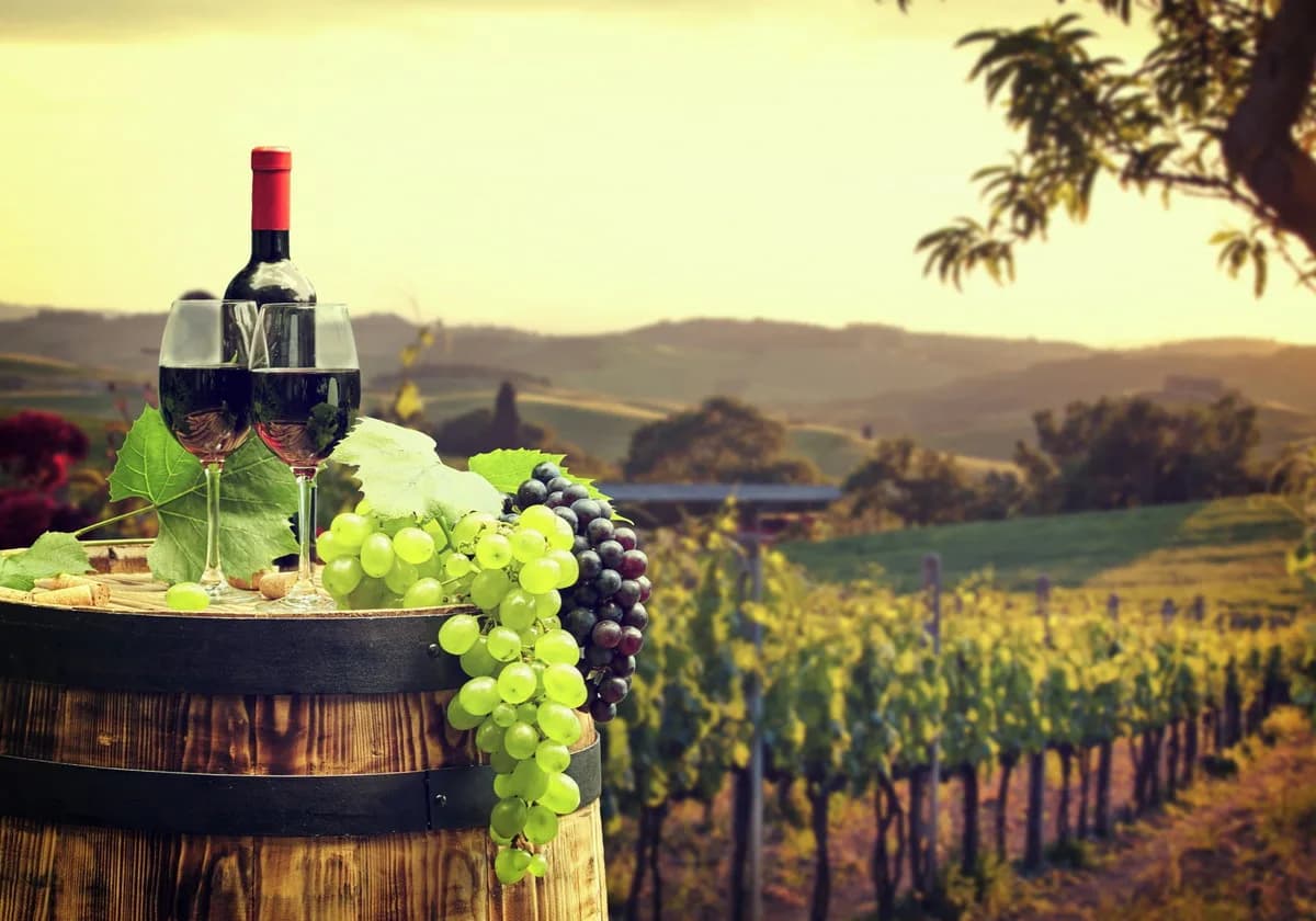 Imagem de capa da notícia Como Brasil se tornou um dos poucos mercados prósperos para vinho em 2020